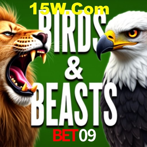 Apostas Esportivas na Bet09: Um Guia Completo